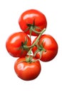 Bunch of red tomatoes isolated on white Royalty Free Stock Photo