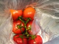 A bunch of red tomatoes packed in plastic