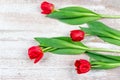 Bunch of red tulips on blue wooden table. Banner mockup card with copy space Royalty Free Stock Photo