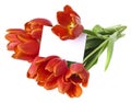 Bunch of red tulips and an empty card Royalty Free Stock Photo