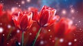 A Bunch of Red Tulips in a Field Royalty Free Stock Photo