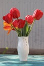 A bunch of red tulips in a white vase on a green wooden table. Royalty Free Stock Photo