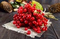 A bunch of red viburnum on a dark wooden background. Gifts of Autumn.