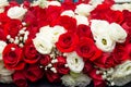 Bunch of red and white  beautiful  flowers Royalty Free Stock Photo