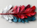 A bunch of red white and blue feathers on a gray surface Royalty Free Stock Photo