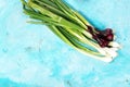 Bunch of red and white spring onions Royalty Free Stock Photo