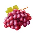 Bunch of red wine grapes, 3D Vector style, on a white background ,Generative AI Royalty Free Stock Photo