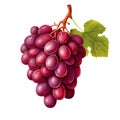 Bunch of red wine grapes, 3D Vector style, on a white background ,Generative AI Royalty Free Stock Photo