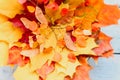 a bunch of red and yellow dry autumn maple leaves and fall twigs on a blue wooden background. Royalty Free Stock Photo