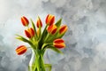 Bunch of red and yellow tulip flowers in a glass vase against colored plaster Royalty Free Stock Photo