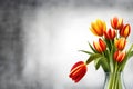 Bunch of red and yellow tulip flowers in a glass vintage vase against dark Royalty Free Stock Photo