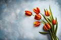 Bunch of red and yellow tulip flowers in a glass vintage vase against dark Royalty Free Stock Photo