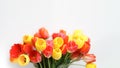Bunch of red and yellow tulips on left side of the white background Royalty Free Stock Photo
