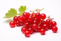 Bunch of Redcurrant fruits on white background