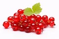 Redcurrant fruits on white background