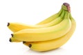 Bunch of ripe banana fruits isolated Royalty Free Stock Photo