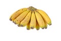 Bunch of banana fruits isolated on white. Cavendish variety. Transparent png additional format Royalty Free Stock Photo