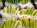 Bunch of Ripe Bananas in Bags for Sale at Supermarket Royalty Free Stock Photo