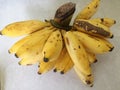 Bunch Ripe Bananas fruit on a ceramic floor, in the room Royalty Free Stock Photo