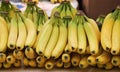 Bananas Royalty Free Stock Photo