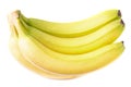 Bunch of ripe bananas isolated on white background Royalty Free Stock Photo