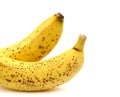 A bunch of three ripe bananas. Close-up. White isolated background. Royalty Free Stock Photo