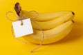 Bunch of ripe bananas with label on yellow Royalty Free Stock Photo