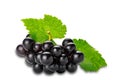 Bunch of ripe black grapes with green leaf isolated on white background Royalty Free Stock Photo