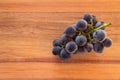 Bunch of ripe black seedless grapes on wooden board with copy space on left Royalty Free Stock Photo