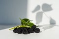 A bunch of ripe blackberries with leaves. Blackberries in a pile on a white background. Blackberries With White Leaves Royalty Free Stock Photo