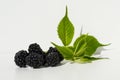 A bunch of ripe blackberries with leaves. Blackberries in a pile on a white background. Blackberries With White Leaves. Royalty Free Stock Photo