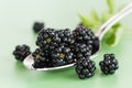 A bunch of ripe blackberries in macro format on a green background Royalty Free Stock Photo