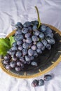 Bunch of ripe blue-black table grape with leaf served on blue plate as dessert Royalty Free Stock Photo