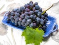 Bunch of ripe blue-black table grape with leaf served on blue plate as dessert Royalty Free Stock Photo