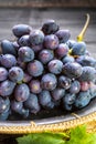 Bunch of ripe blue-black table grape with leaf served on black plate on black wooden background Royalty Free Stock Photo
