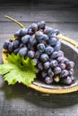 Bunch of ripe blue-black table grape with leaf served on black plate on black wooden background Royalty Free Stock Photo