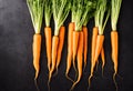 Bunch of ripe carrots on a black background