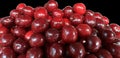 A bunch of ripe cherries lie on a plate, isolated on black. Ripe red berries, ripe fruits. Lots of burgundy cherries on a dark Royalty Free Stock Photo