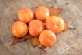A bunch of ripe crispy persimmons on a yellow leaf