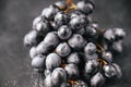 Bunch of ripe dark grapes on a gray background, berries