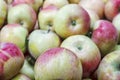Bunch of apples in a box Royalty Free Stock Photo