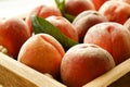 Healthy eating concept. Wooden tray fully stacked with local produce farm grown organic ripe peaches. Royalty Free Stock Photo