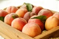 Healthy eating concept. Wooden tray fully stacked with local produce farm grown organic ripe peaches. Royalty Free Stock Photo