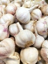 A bunch of ripe garlic.