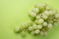 A bunch of ripe grapes with drops of water, berries of white grape on a background of light green color