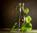 Bunch of ripe grapes in an old bottle entwined leaves.