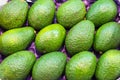 Bunch of ripe green avocados for sale Royalty Free Stock Photo