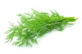 Bunch of ripe green dill