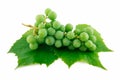 Bunch of Ripe Green Grapes with Leaf Isolated Royalty Free Stock Photo