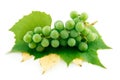 Bunch of Ripe Green Grapes with Leaf Isolated Royalty Free Stock Photo